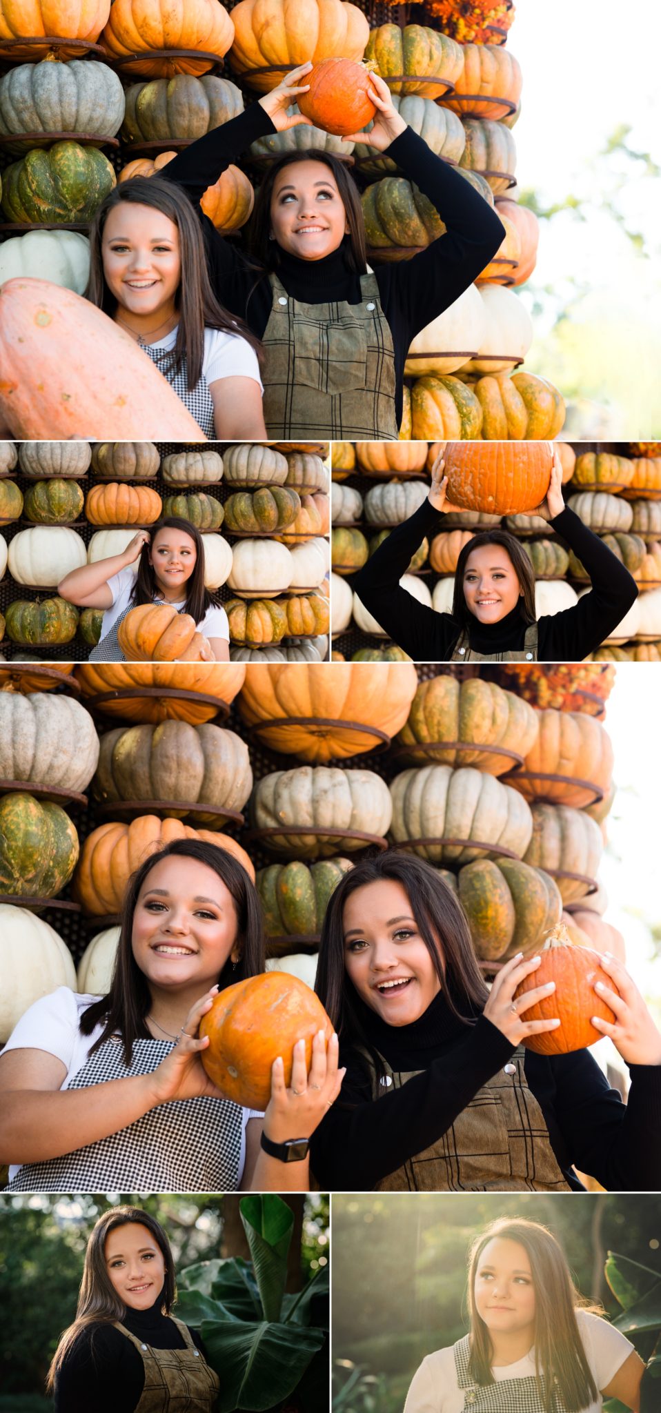 Dallas Arboretum Pumpkin Patch